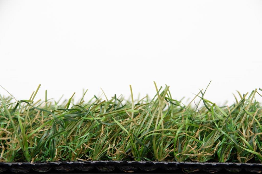 Nobel Grass Limited 35