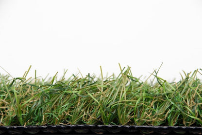 Nobel Grass Limited 35