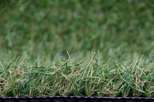 Nobel Grass Limited 35