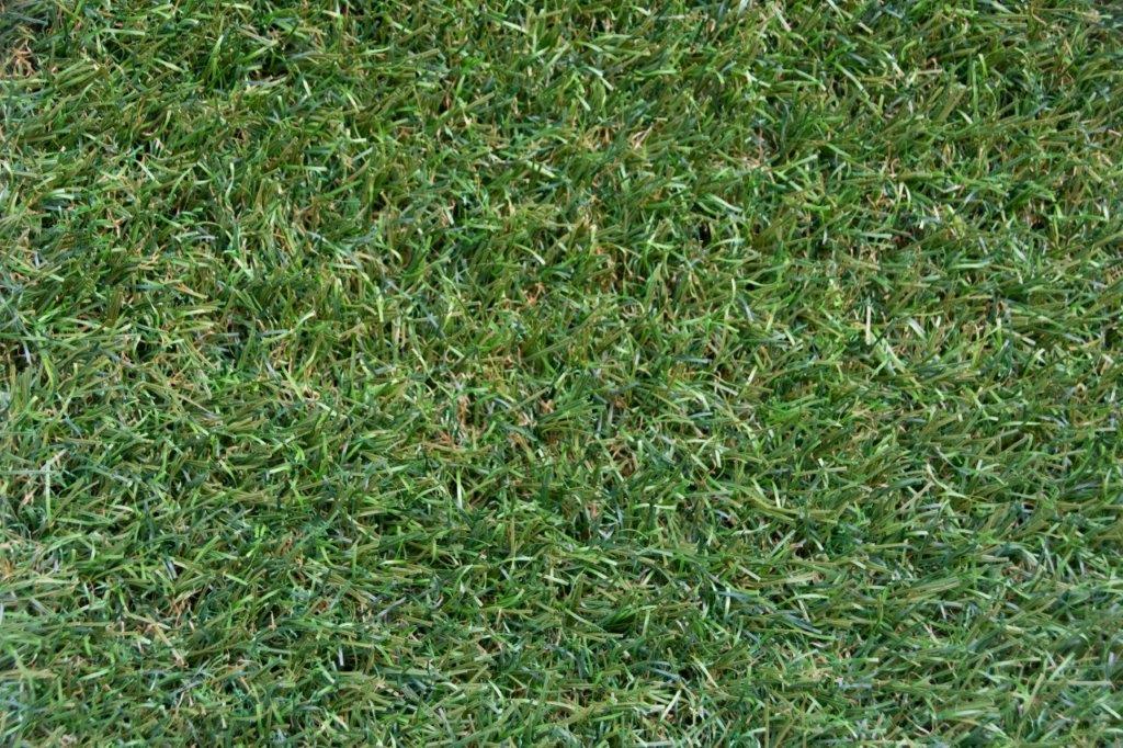 Nobel Grass Limited 35