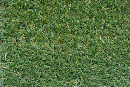 Nobel Grass Limited 35